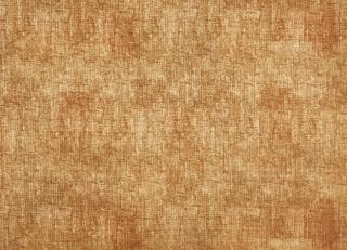 Фото - Ткани Prestigious Textiles Eternity - 441462>