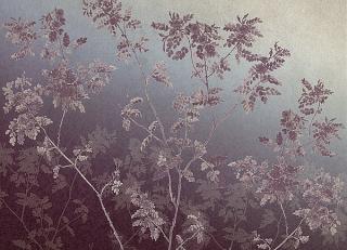 Фото - Обои Tres Tintas Journeys - 345222>