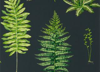 Фото - Обои Sanderson Glasshouse - 410783>