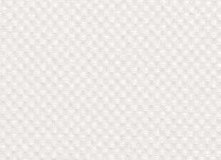 Фото - Ткани Clarke&Clarke Maximus - 296384>