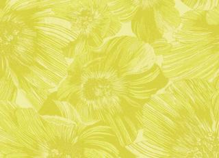 Фото - Обои Sirpi Missoni Home 5 - 601874>