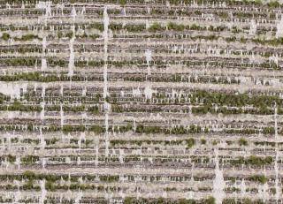 Фото - Ткани Foresti Home Collection Malmo - 563294>