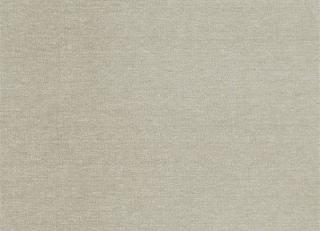 Фото - Ткани Clarke&Clarke Purus - 491527>
