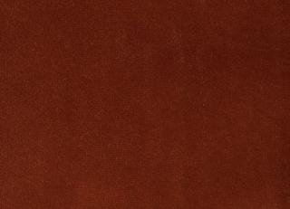 Фото - Ткани Foresti Home Collection Velluto di cotone Zeus - 563370>