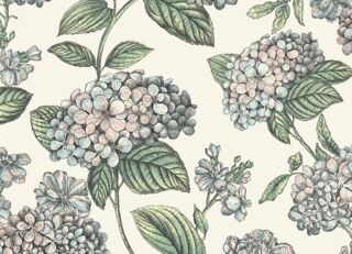 Фото - Обои Cole & Son Fornasetti Senza Tempo II - 626708>