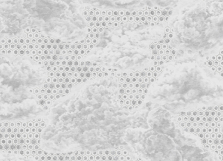 Фото - Обои Faboie Echo - 625937>