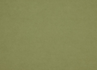 Фото - Ткани Pepe Penalver Madeira - 627753>