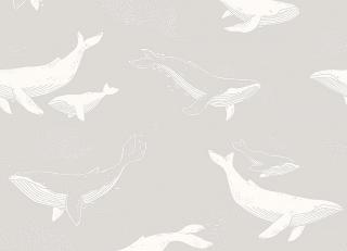 Фото - Обои BorasTapeter Newbie - 582098>