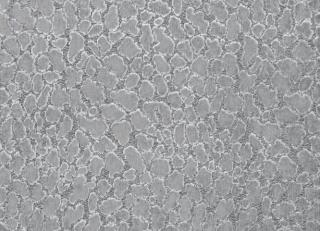 Фото - Ткани Zinc City - 515703>