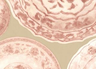 Фото - Обои Andrew Martin Museum - 243780>