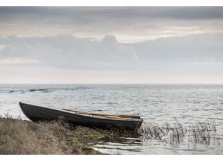 Фото - Обои Photowall Природа - 298749>