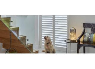 Фото - Luxaflex - 587785>