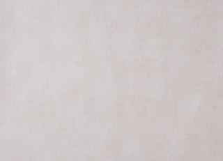 Фото - Обои Caselio Curiosity - 223624>