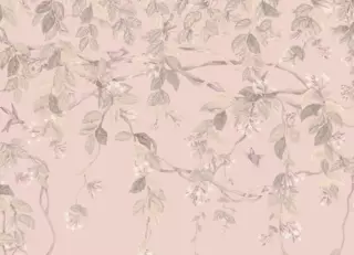 Фото - Обои Cole & Son Selection of Hummingbirds - 626735>