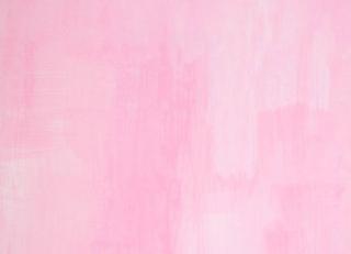 Фото - Обои Designers Guild Shanghai Garden - 250669>