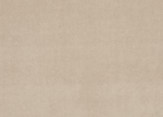 Фото - Ткани Clarke&Clarke Alvar - 295559>