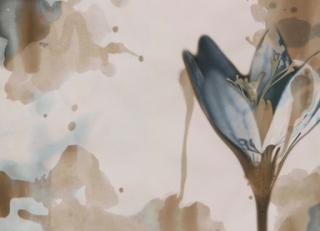 Фото - Обои Wall&Deco CODE 2020 CONTEMPORARY - 495228>