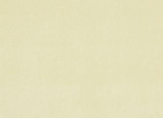 Фото - Ткани Clarke&Clarke Alvar - 295577>