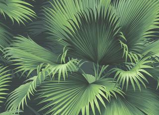 Фото - Обои KT Exclusive Palm Springs - 346647>