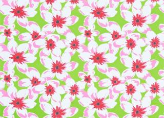 Фото - Ткани Sanderson Papavera Prints & Embroideries - 451857>