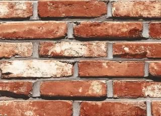 Фото - Обои Shinhan Natural  - 554950>