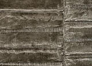 Фото - Обои Elitis Anguille Big croco Legend - 469452>