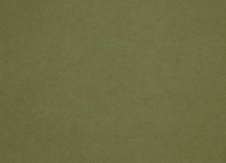 Фото - Ткани Pepe Penalver Madeira - 627759>