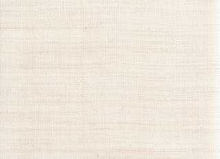 Фото - Ткани Dedar Rem - 506155>