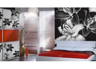 Фото - Обои Glamora Essence - 225511>