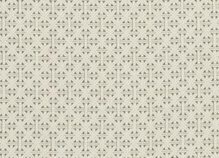 Фото - Ткани Clarke&Clarke Colony Fabrics - 305240>