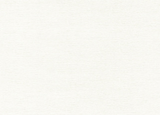 Фото - Ткани Rubelli Sharky - 624109>