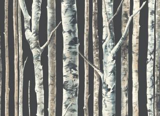 Фото - Обои Mayflower by Kt Exclusive Solaris - 349986>