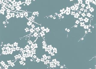 Фото - Обои Gaston y Daniela Origen Dos - 554556>