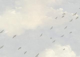 Фото - Обои Mayflower by Kt Exclusive Transition - 436547>