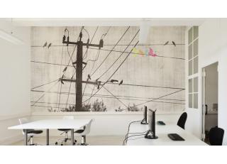 Фото - Обои Glamora Vitaminic - 224517>