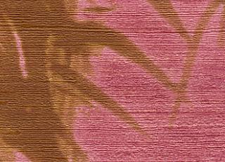 Фото - Обои Elitis Talamone - 378052>