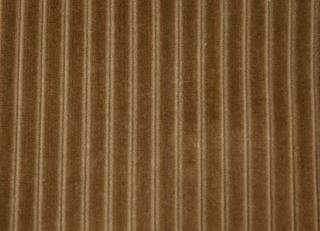 Фото - Ткани Foresti Home Collection Velluto a coste small - 563349>