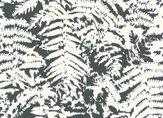 Фото - Обои Little Greene 20th Century - 364768>