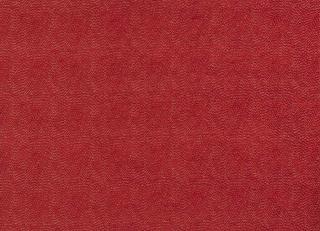 Фото - Ткани Jane Churchill Gustav - 572223>