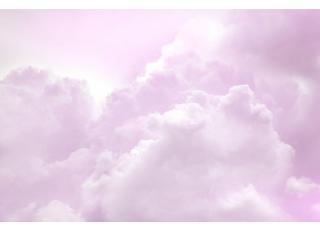 Фото - Обои Mr Perswall Imaginarium - 423509>