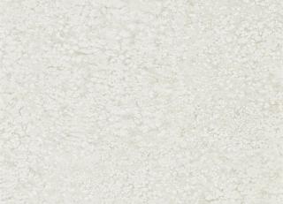 Фото - Обои Zoffany Kempshott - 327166>