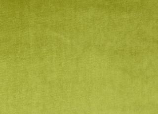 Фото - Ткани Prestigious Textiles Parade - 445731>