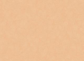 Фото - Обои Loymina Shade - 443849>