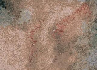 Фото - Ковры Tapis Rouge Himalaya - 590061>