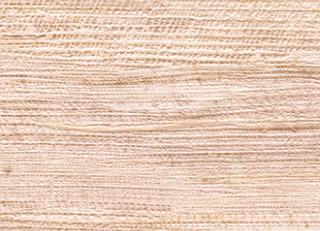 Фото - Обои Elitis Opening - 440591>