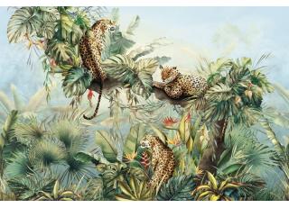 Фото - Обои Ortograf It`s Jungle - 477082>