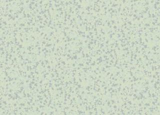 Фото - Обои Milassa Casual - 310380>