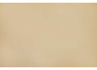 Фото - Ткани Casal Gibson - 446165>