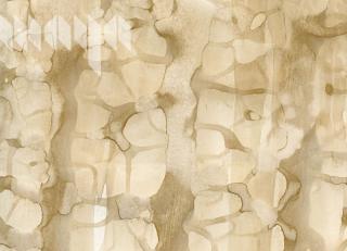 Фото - Обои Maya Romanoff River Bed ll - 394950>