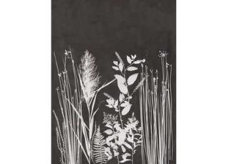 Фото - Обои Pierre Frey Galerie - 395330>